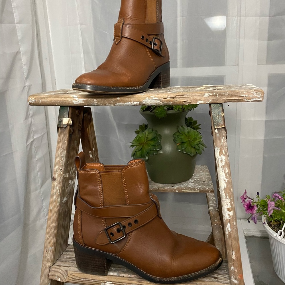 Coach ankle boots